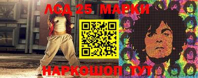 гашик Донской