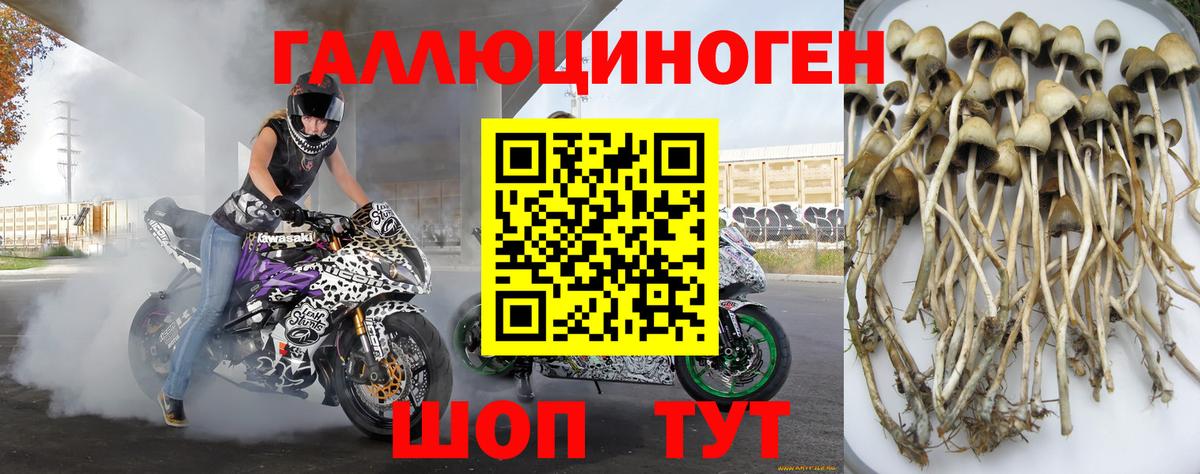 Галлюциногенные грибы GOLDEN TEACHER Канаш