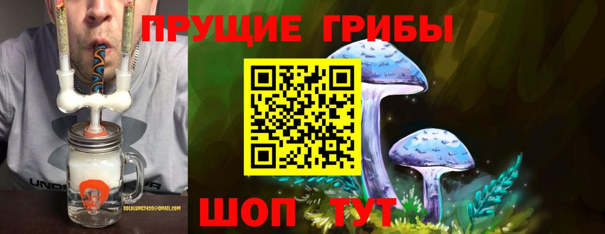 Псилоцибиновые грибы Psilocybe  Вход с VPN  Псилоцибиновые грибы прущие грибы  Канаш 