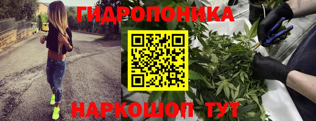 Бошки Шишки VHQ  МАРИХУАНА OG Kush  Канаш  Вход с VPN  Бошки Шишки VHQ  Бошки Шишки OG Kush 